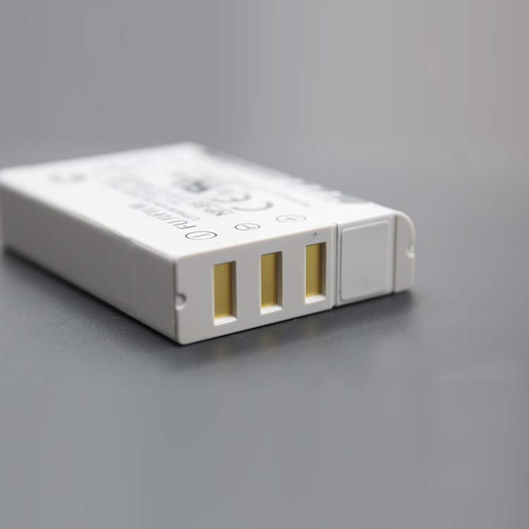 FUJIFILM NP-95 Batteries